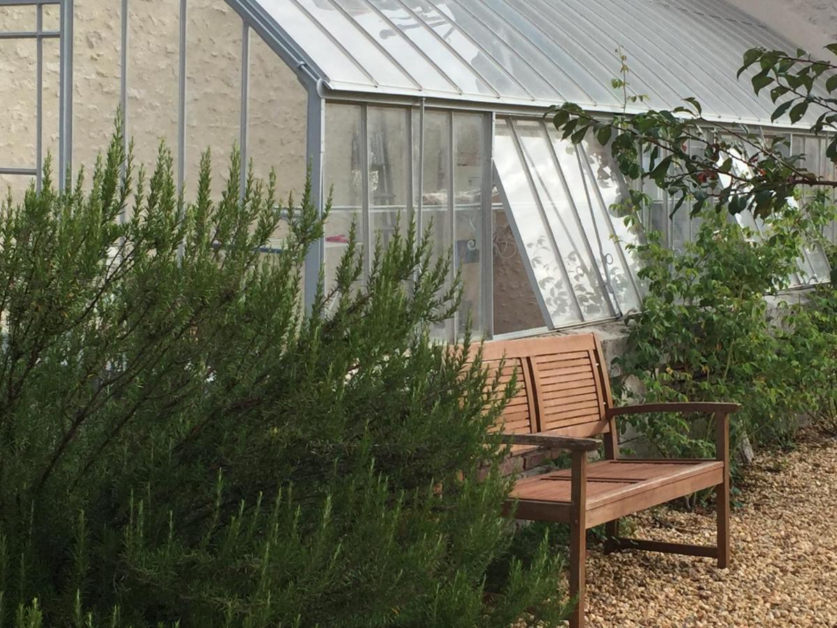セル・シュル・シェール L'Orangerie "The Orangery" Du Parc Des Nouiesヴィラ エクステリア 写真