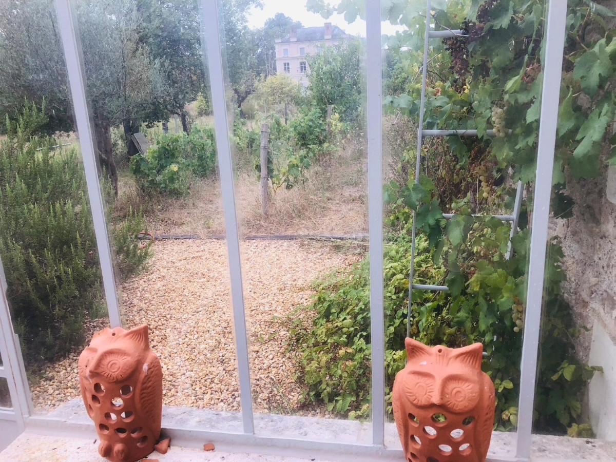 セル・シュル・シェール L'Orangerie "The Orangery" Du Parc Des Nouiesヴィラ エクステリア 写真